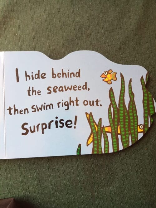 Little Fish And Mummy – Lucy Cousins secondhand book