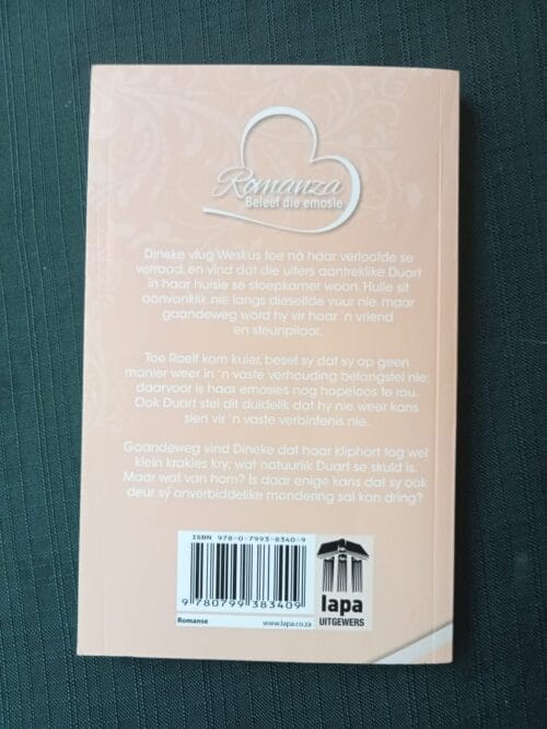 Ridder Van Die Branders – Rika Du Plessis secondhand book