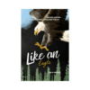 Like an Eagle – Alta H Haffner secondhand book