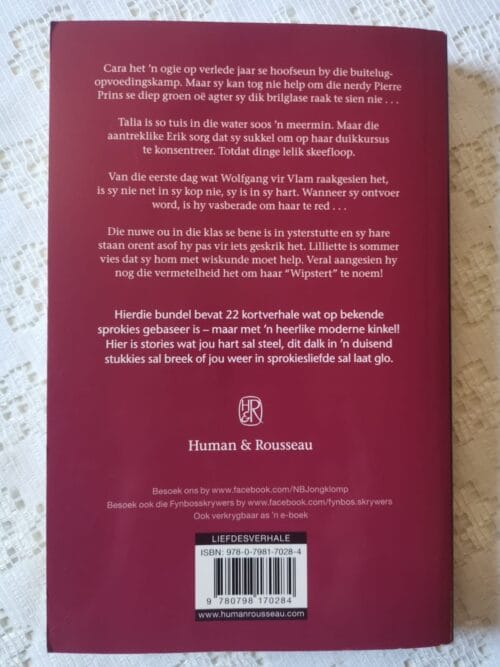 Liefde is ‘n Sprokie – Santie Nel secondhand book