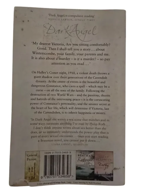 Dark Angel – Sally Beauman secondhand book