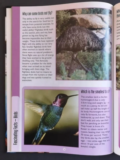Fascinating Facts – Volume 2 secondhand book