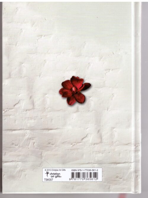 365 Dinge Wat Elke Vrou Moet Weet – Wilma Le Roux secondhand book