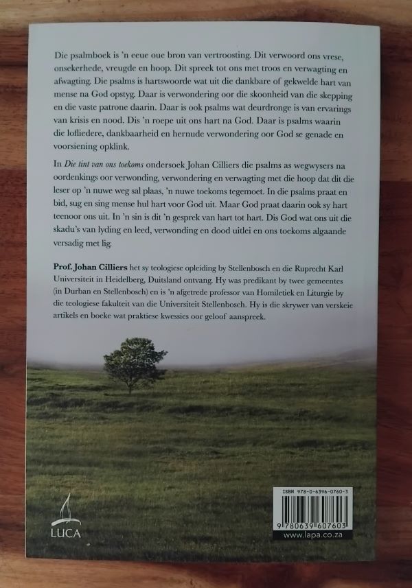 Die tint van ons toekoms B Die tint van ons toekoms - Johan Cilliers