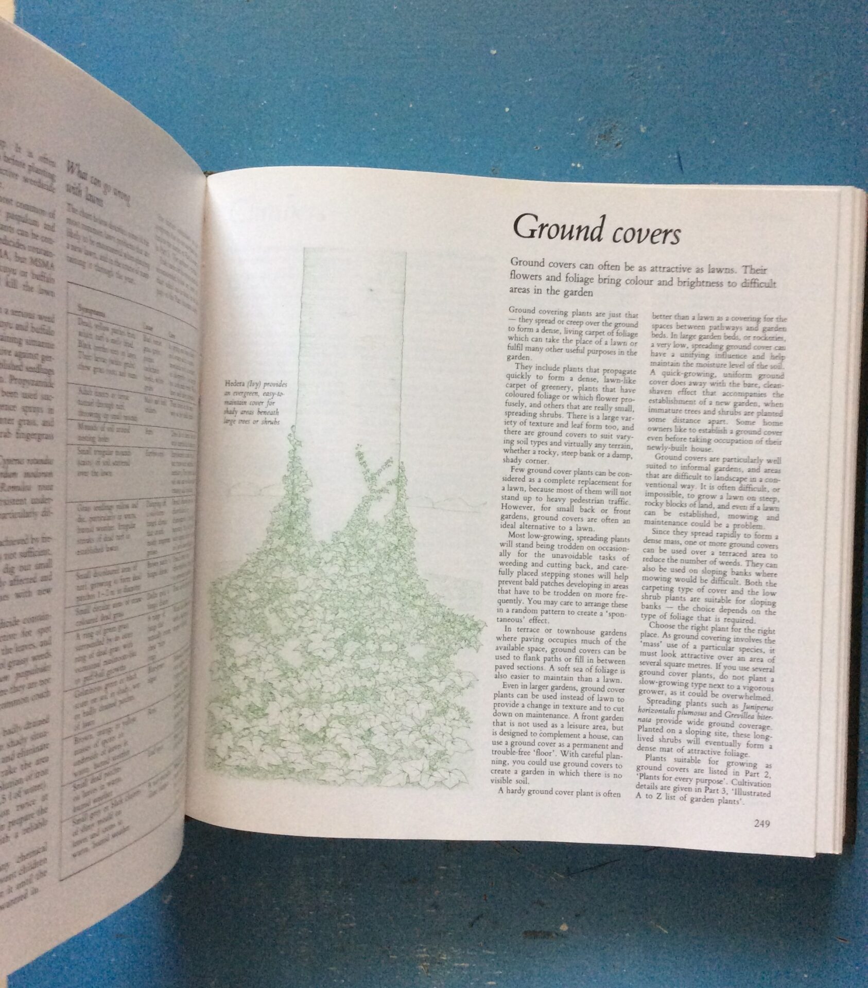 Illustrated Encyclopaedia Of Gardening In South Africa - Reader's