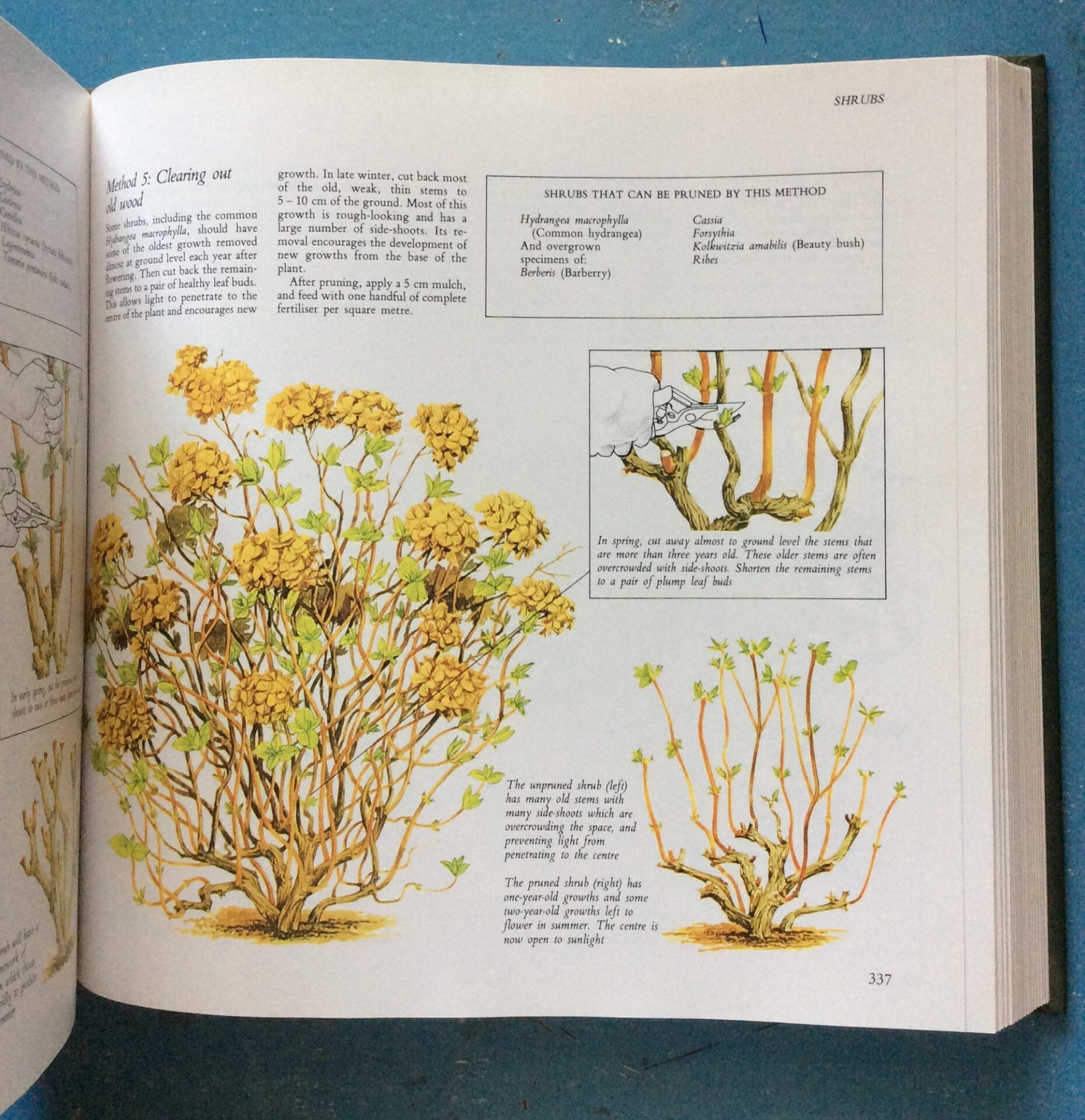 Illustrated Encyclopaedia Of Gardening In South Africa - Reader's
