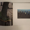 Sculpting The Land – Strijdom Van Der Merwe secondhand book