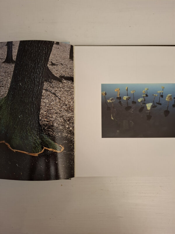 Sculpting The Land – Strijdom Van Der Merwe secondhand book
