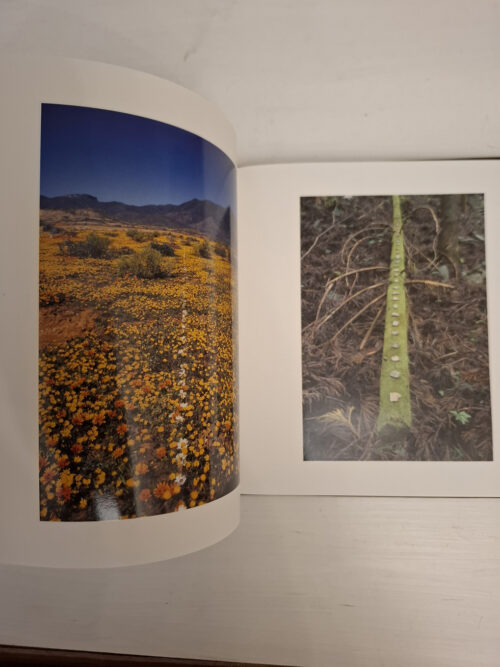 Sculpting The Land – Strijdom Van Der Merwe secondhand book