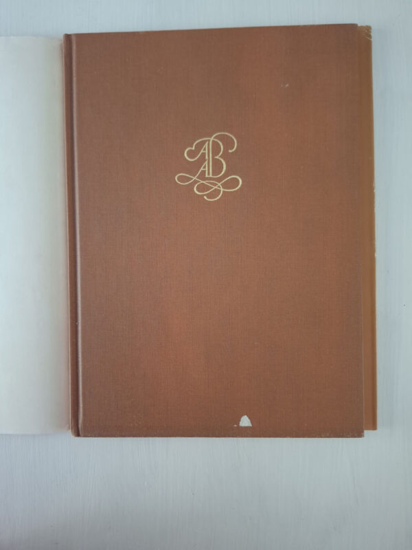 Herkoms van die Kaapse stoel – Marielise Botha secondhand book