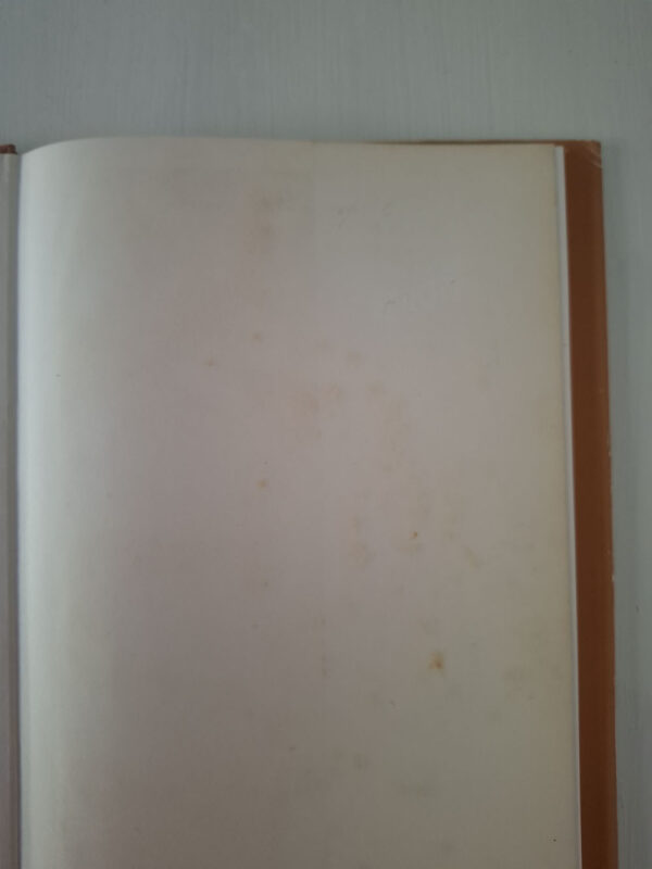 Herkoms van die Kaapse stoel – Marielise Botha secondhand book