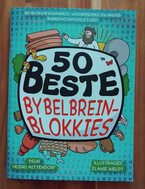 50 Beste Bybelbreinblokkies - Heidri Mittendorf