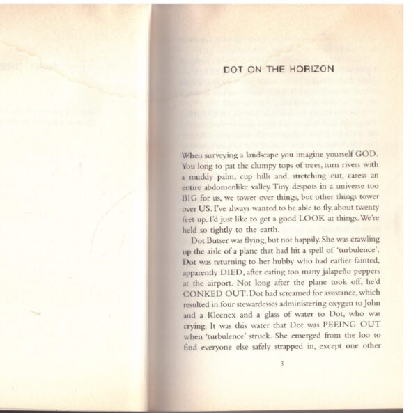 Dot in the Universe - Lucy Ellmann
