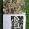 Die Nancy Gardiner Tuinboek