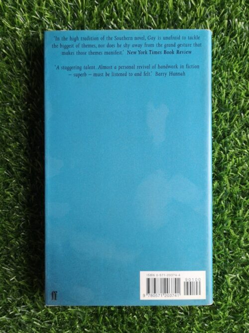 Provinces of Night – William Gay secondhand book
