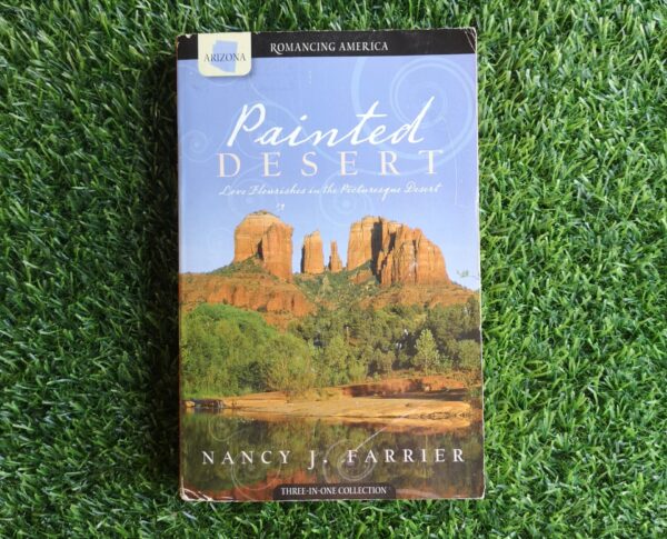 Painted Desert - Nancy J. Farrier
