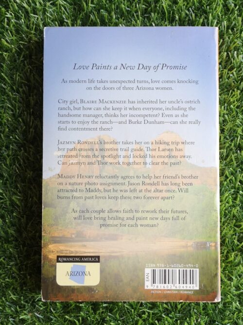 Painted Desert – Nancy J. Farrier secondhand book