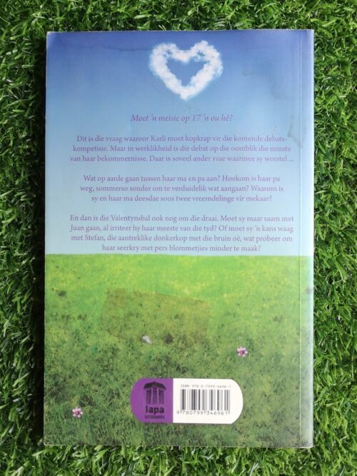 Liefde is – Alet Steenkamp, Nerine Ahlers secondhand book