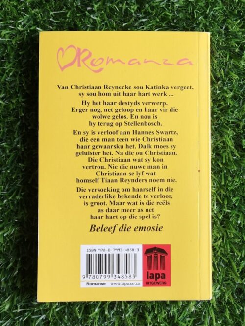 Flenters vir lint – Bernette Bergenthuin secondhand book