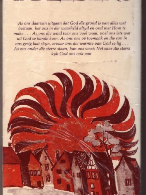 Die Stem van die Son – Heidi en Jorg Zink, Ferdinand Deist secondhand book