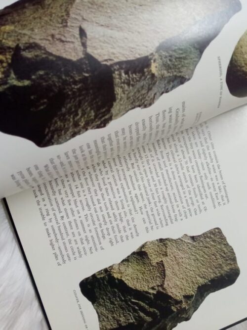 The Missing Link – Maitland A. Edey secondhand book