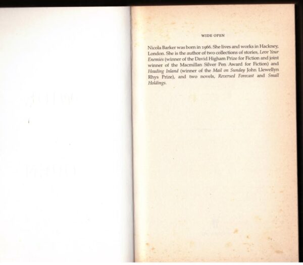 Wide Open – Nicola Barker secondhand book