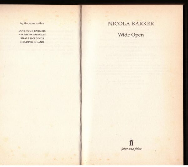 Wide Open – Nicola Barker secondhand book
