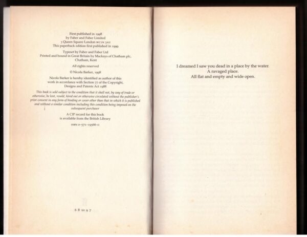 Wide Open – Nicola Barker secondhand book