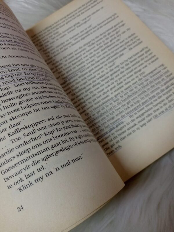 Shopaholic & Sister - Sophie Kinsella