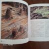 Coast To Coast: Life Along South Africa's Shores - Marais Et Al.