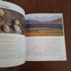 Coast To Coast: Life Along South Africa's Shores - Marais Et Al.