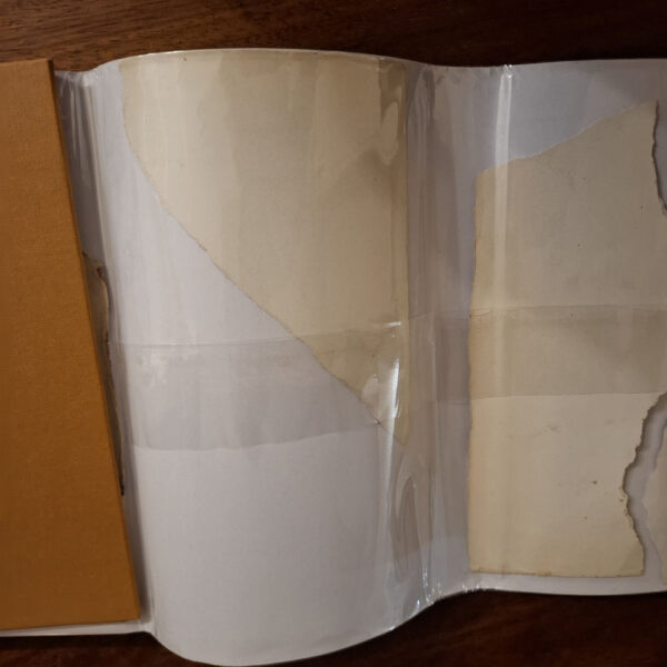 The Recollections Of An Elephant Hunter – William Finaughty secondhand book