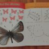 Busy Bugs Sticker Activity Fun