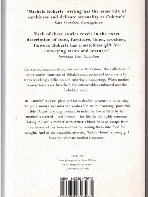 During Mother’s Absence – Michèle Roberts secondhand book
