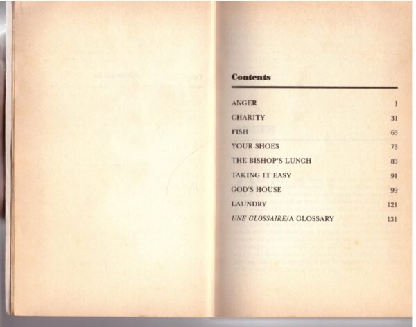 During Mother’s Absence – Michèle Roberts secondhand book