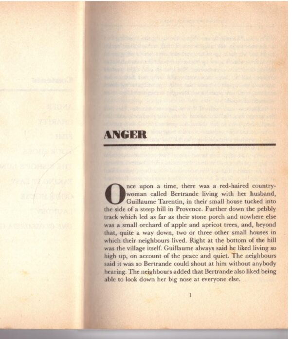 During Mother’s Absence – Michèle Roberts secondhand book