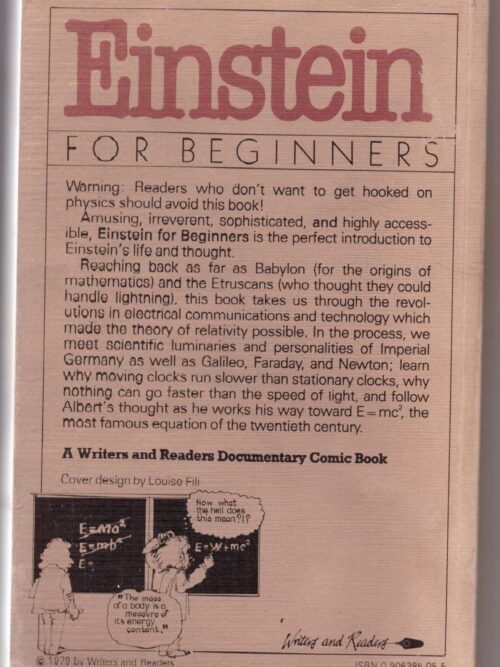 Einstein For Beginners – Joseph Schwartz, Michael McGuinness secondhand book
