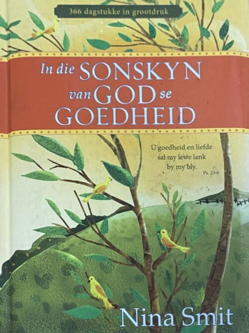 In Die Sonskyn Van God Se Goedheid - Nina Smit