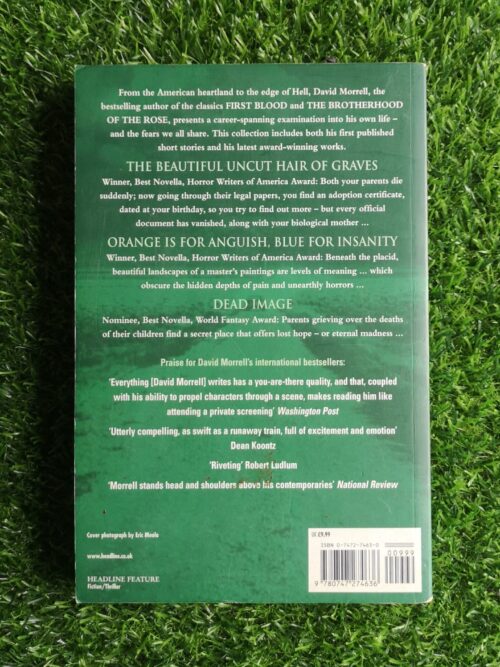 Black Evening – David Morrell secondhand book