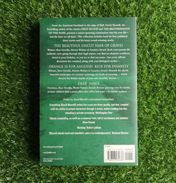 Black Evening – David Morrell secondhand book