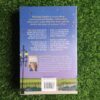 Minding Frankie - Maeve Binchy