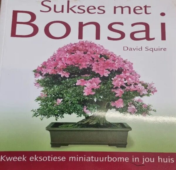 Sukses Met Bonsai - David Squire