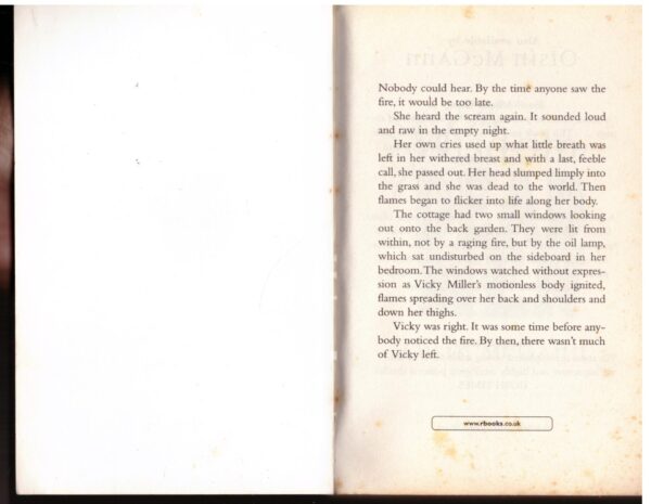 The Wisdom Of Dead Men – Oisin McGann secondhand book