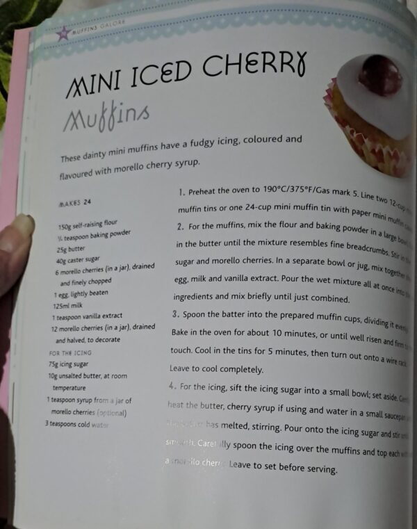 Muffins Galore – Catherine Atkinson secondhand book