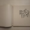 The Life And Art Of Francois Krige - Justin Fox, François Krige