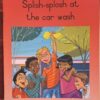Splish-Splosh At The Car Wash – Dr Nalize Scheepers secondhand book