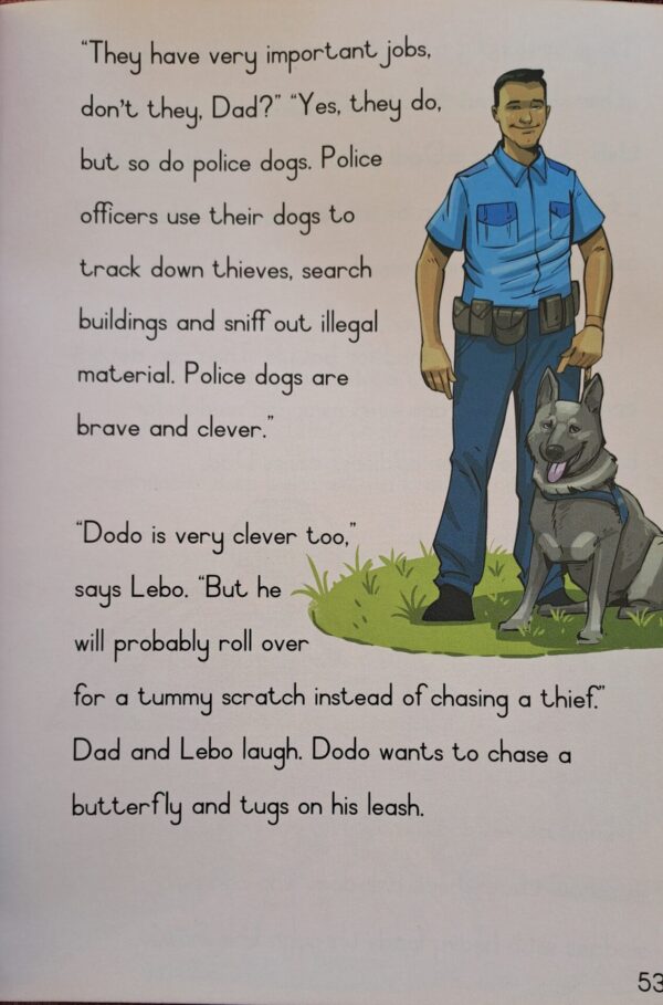 Splish-Splosh At The Car Wash – Dr Nalize Scheepers secondhand book