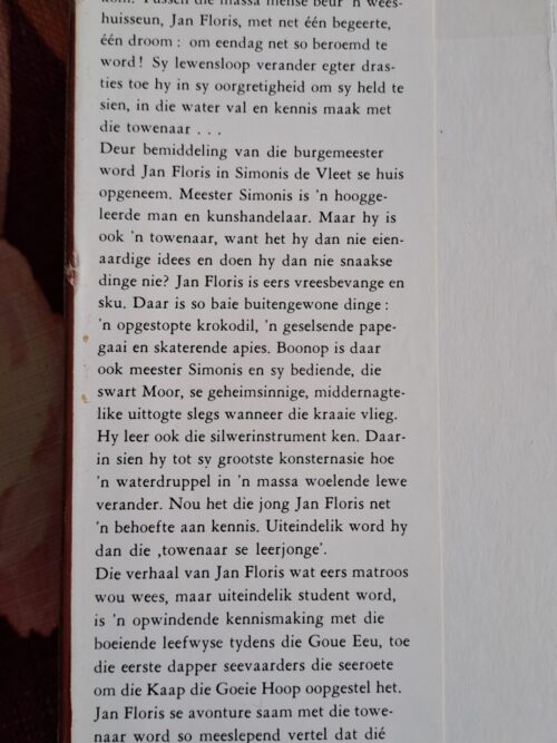 Die Towenaar Van Amsterdam – Ursula Bruns secondhand book