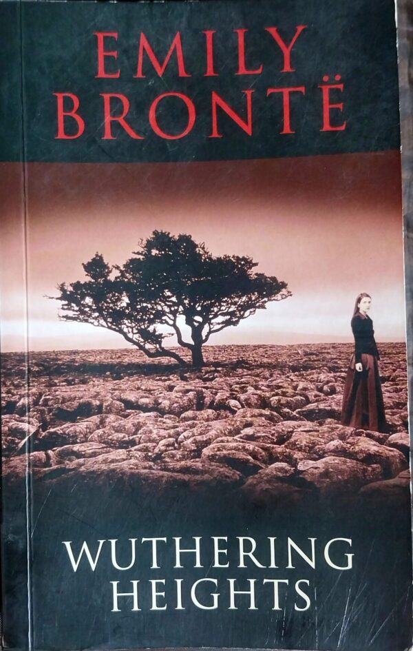 Wuthering Heights – Emily Brontë secondhand book