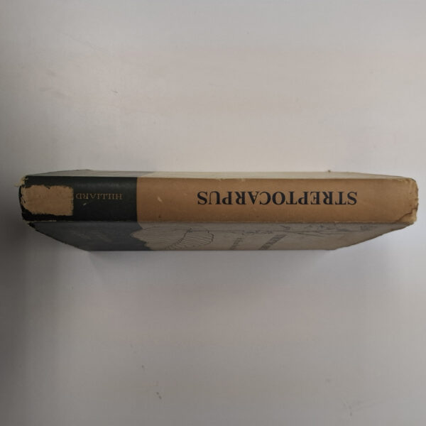 20250430_083125 Streptocarpus: An African Plant Study – Hilliard Et Al secondhand book